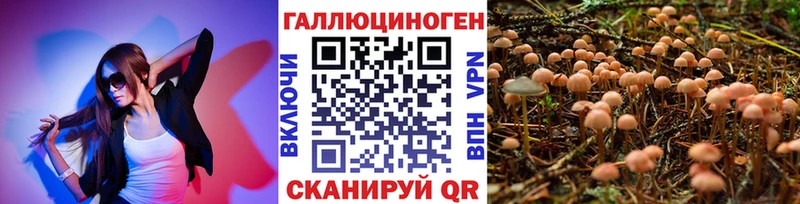 Псилоцибиновые грибы мухоморы omg как войти Зеленоградск
