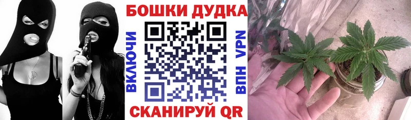 Каннабис гибрид  продажа наркотиков  mega рабочий сайт  Зеленоградск 